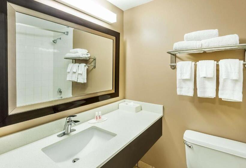 اتاق استاندارد با تخت بزرگ, Super 8 By Wyndham Calgary/airport