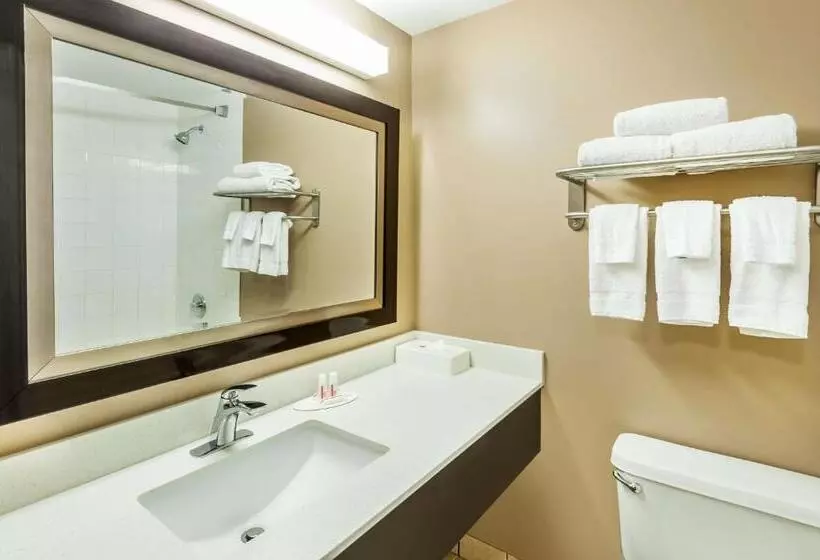 اتاق استاندارد با تخت بزرگ, Super 8 By Wyndham Calgary/airport