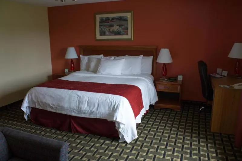 Standard-huone, Don Giovanni Hotel Prague Great Hotels Of The World