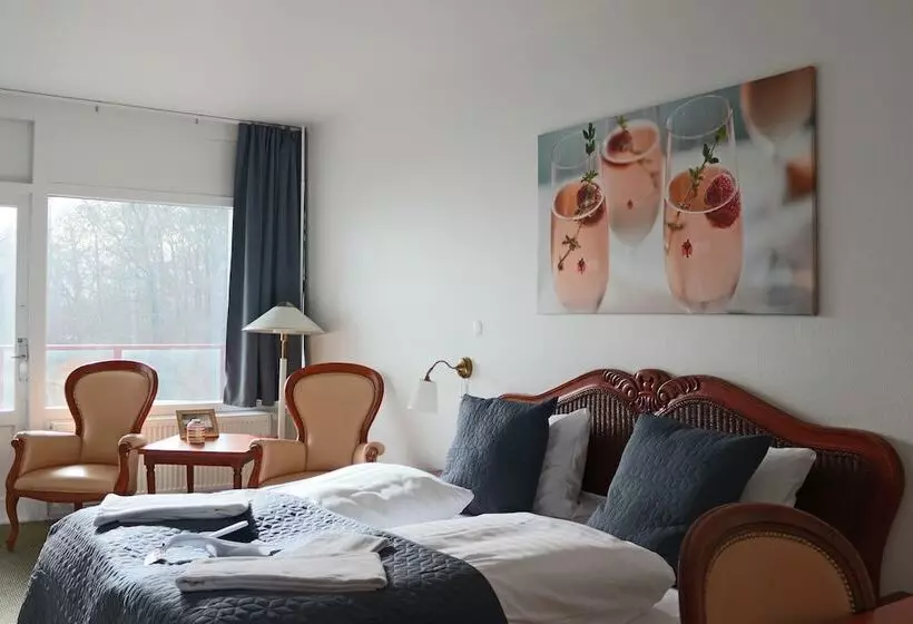 Superior room with lake view, Milling Hotel Søpark