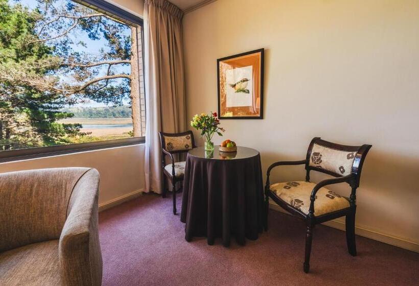 スーペリアールーム, Puerta Del Sur