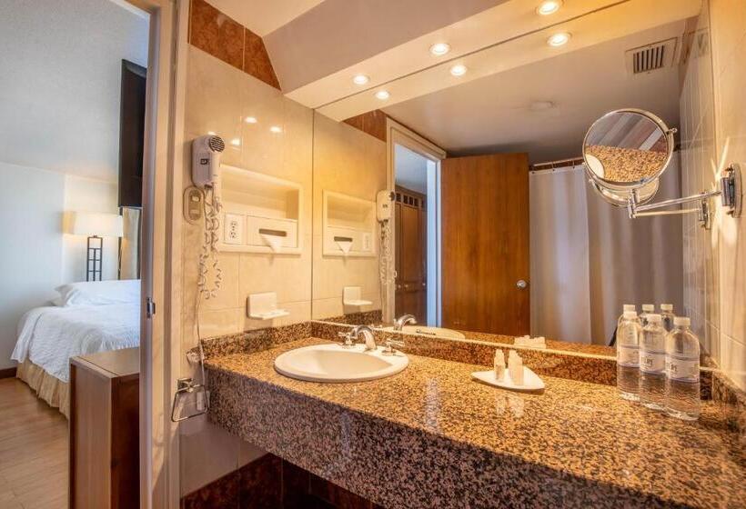 标准间, Rio Amazonas