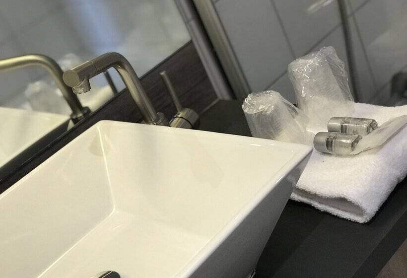 اتاق استاندارد یک نفره, Brit Hotel Aux Sacres Reims Centre