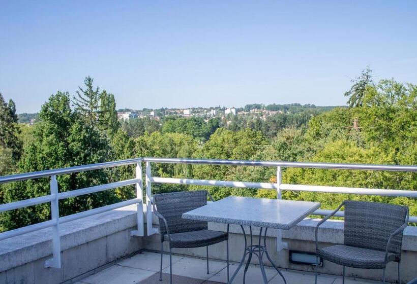 חדר דלוקס עם נוף לפארק, Célestins Spa Thermal & Hôtel By Vy Resort