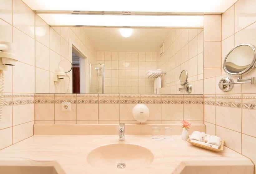 이코노미 룸, Best Western Plus Delta Park