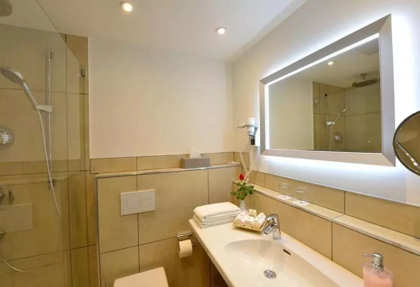 Bisneshuone, Best Western Plus Delta Park