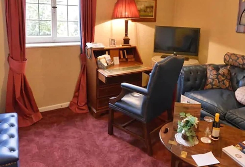 جناح جونيور, Die Hirschgasse Heidelberg