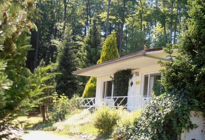 חדר סטנדרט עם טרסה, Einbecker Sonnenberg