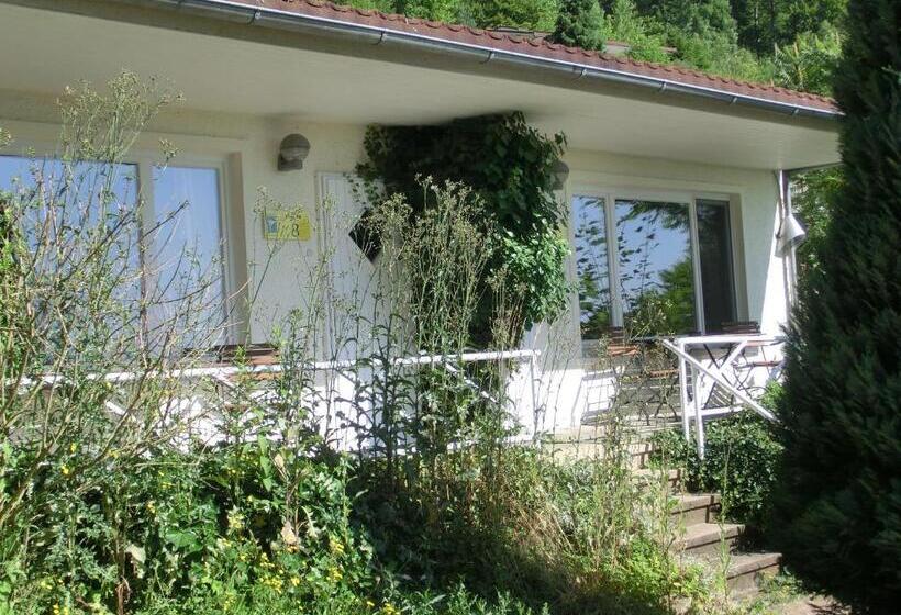 חדר סטנדרט עם טרסה, Einbecker Sonnenberg