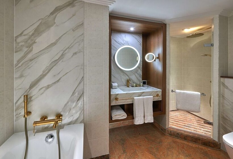 이그제큐티브 룸, Hilton Frankfurt City Centre