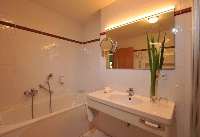 舒适型房间, Marina Hotel Am Starnberger See