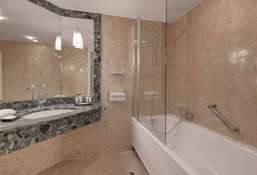 اتاق سوپریور, Bilderberg Bellevue Hotel Dresden