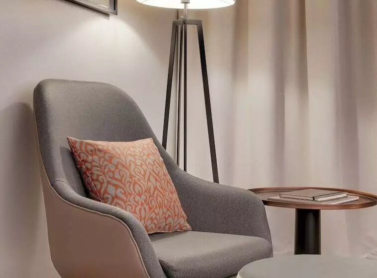 اتاق سوپریور, Bilderberg Bellevue Hotel Dresden