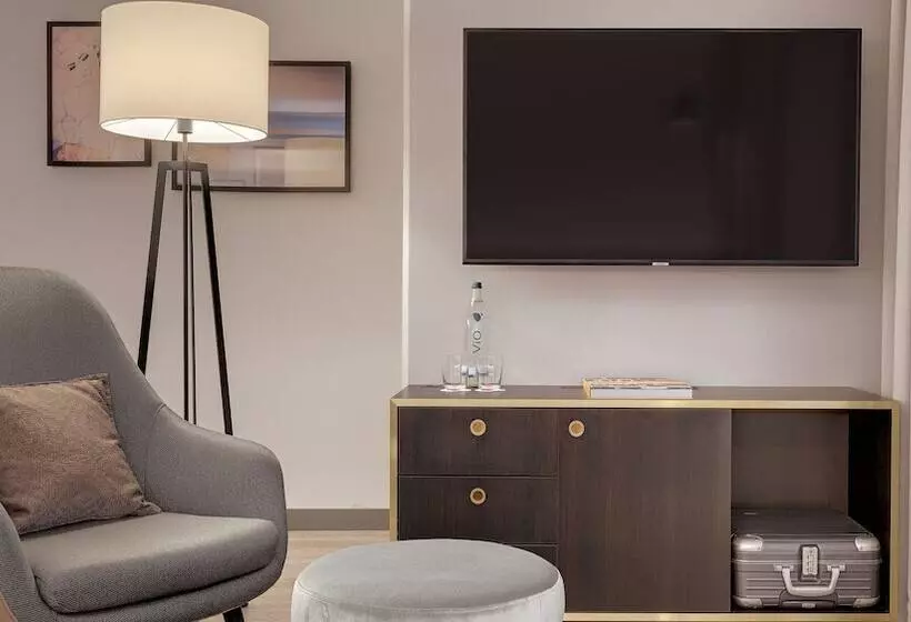 اتاق سوپریور, Bilderberg Bellevue Hotel Dresden