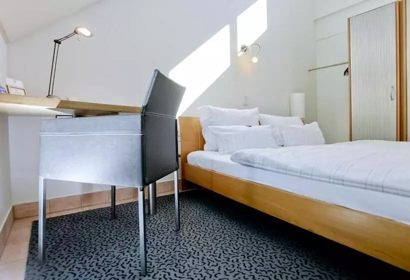Standard Single Room, Watthalden