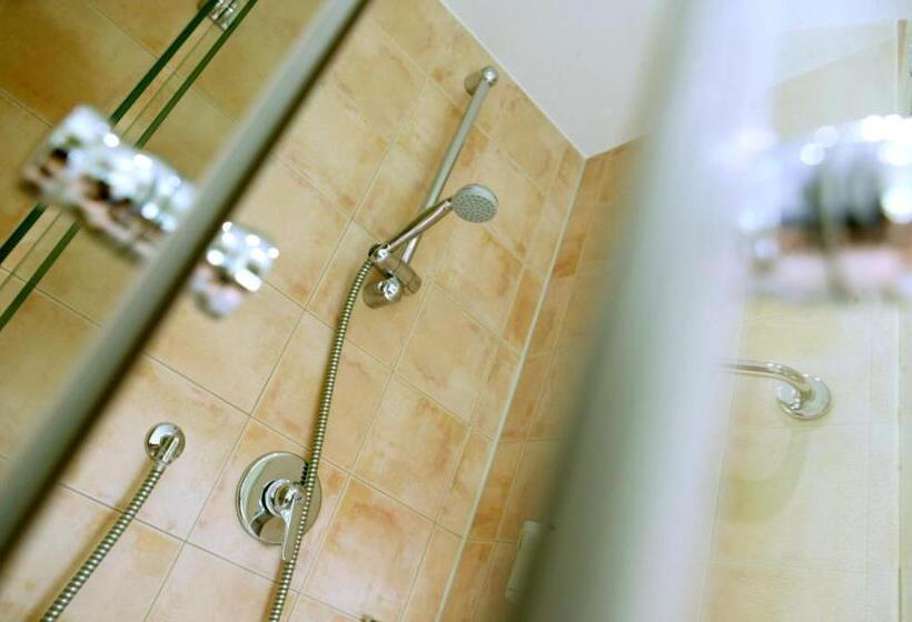 Standard Single Room, Watthalden