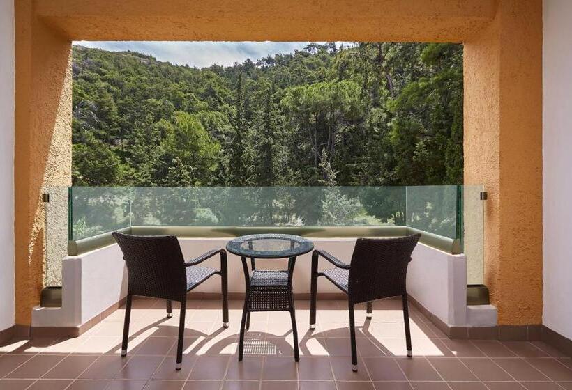 חדר קלאסי עם נוף לגינה, Sheraton Rhodes Resort