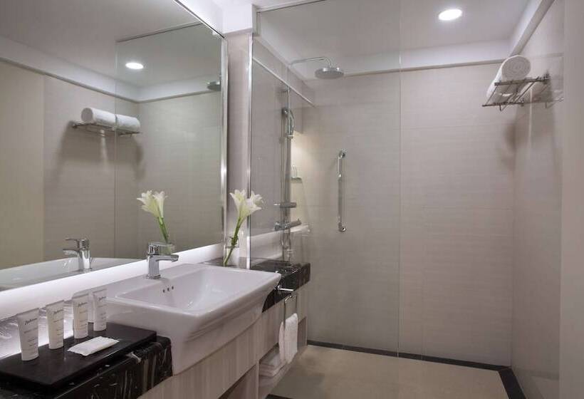 小型套房, Radisson Medan