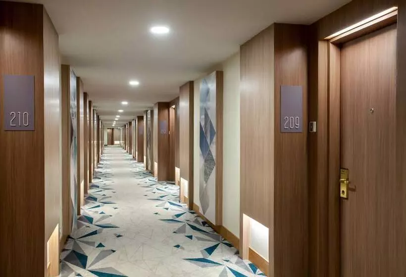 デラックスルーム, Radisson Medan