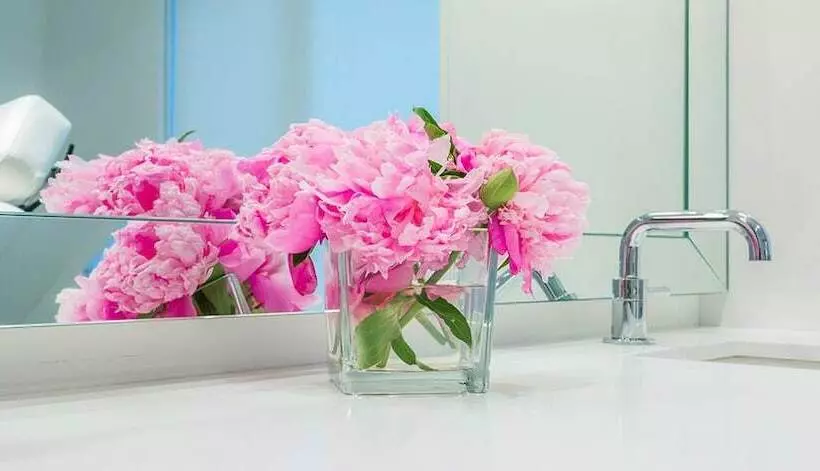 اتاق کلاسیک سه تخته, Leo