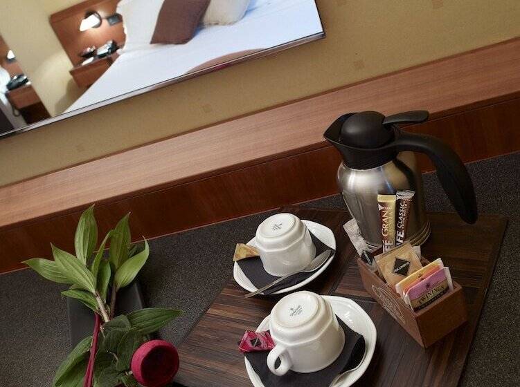 수피리어 싱글 룸, Montini Linate Airport