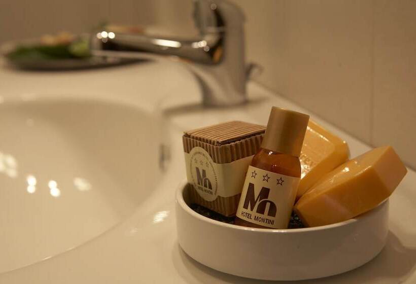 수피리어 룸, Montini Linate Airport