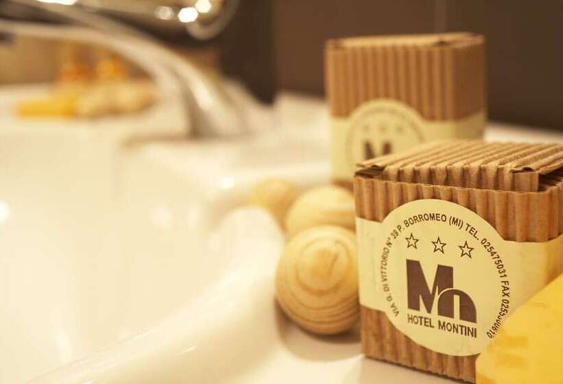 이그제큐티브 룸, Montini Linate Airport