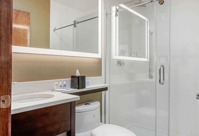 חדר סטנדרט שתי מיטות זוגיות, Comfort Inn Prospect Parkbrooklyn