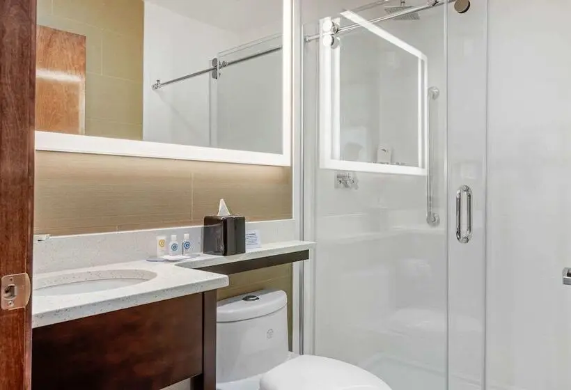 اتاق استاندارد با 2 تخت دوبل, Comfort Inn Prospect Parkbrooklyn