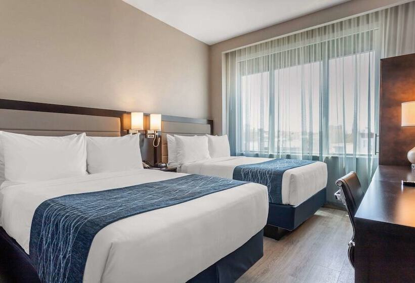 חדר סטנדרט שתי מיטות זוגיות, Comfort Inn Prospect Parkbrooklyn