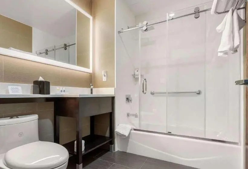 اتاق استاندارد با تخت بزرگ, Comfort Inn Prospect Parkbrooklyn