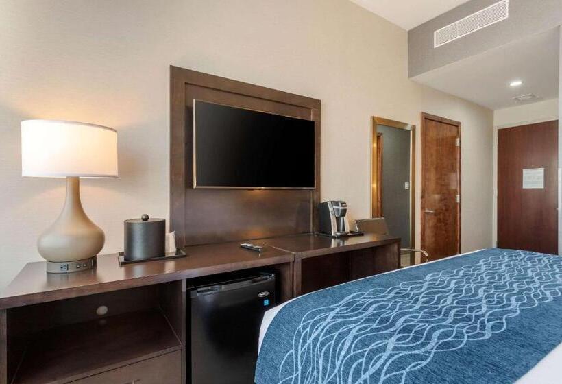 חדר סטנדרט עם מיטת קינג, Comfort Inn Prospect Parkbrooklyn