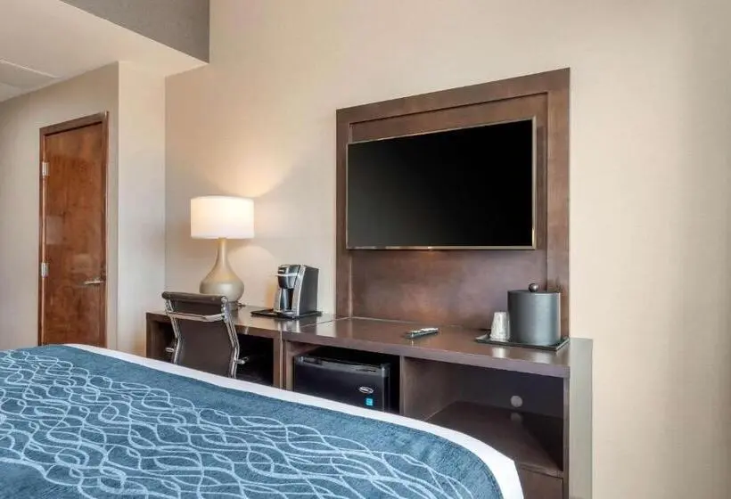اتاق استاندارد با تخت بزرگ, Comfort Inn Prospect Parkbrooklyn
