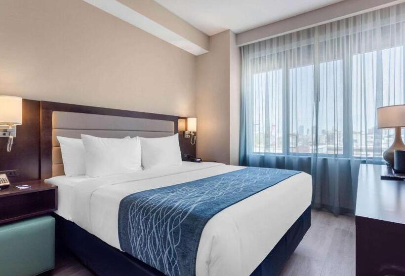 חדר סטנדרט עם מיטת קינג, Comfort Inn Prospect Parkbrooklyn