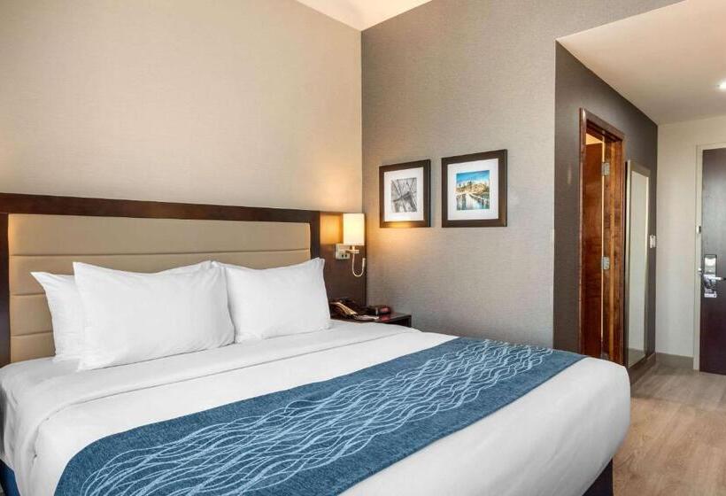 Стандартный Номер Кровать Кинг, Comfort Inn Prospect Parkbrooklyn
