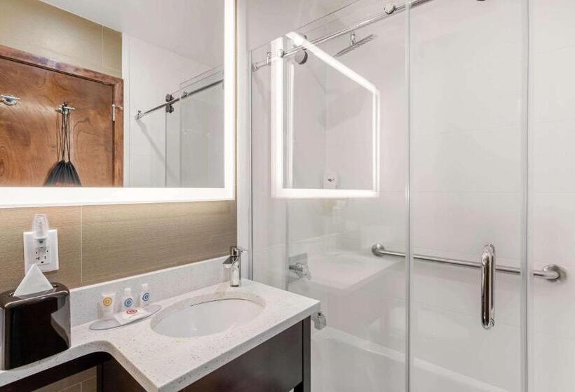 חדר סטנדרט שתי מיטות זוגיות, Comfort Inn Prospect Parkbrooklyn