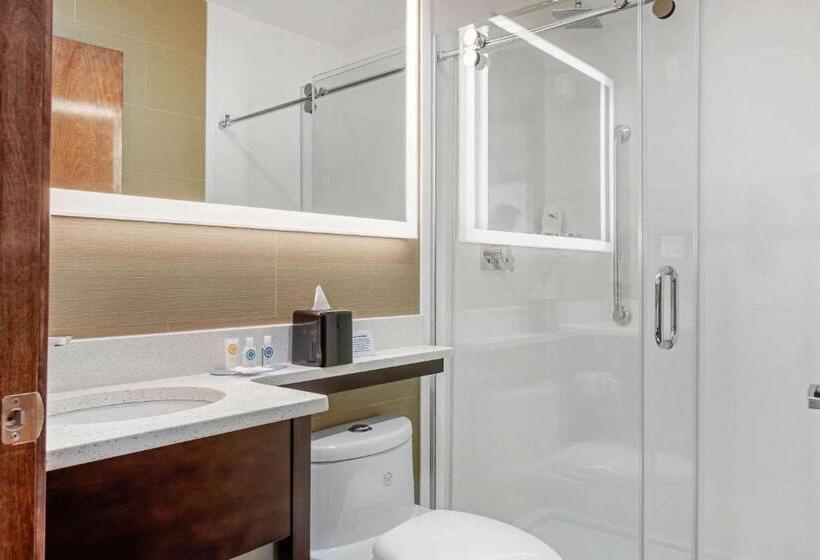 חדר סטנדרט שתי מיטות זוגיות, Comfort Inn Prospect Parkbrooklyn