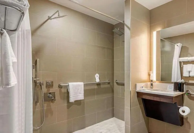 اتاق استاندارد برای معلولان, Comfort Inn Prospect Parkbrooklyn