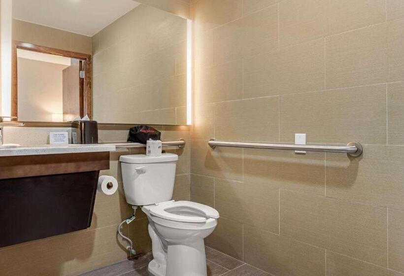 Номер Стандарт Адаптированный для Инвалидов, Comfort Inn Prospect Parkbrooklyn