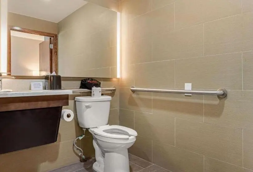 اتاق استاندارد برای معلولان, Comfort Inn Prospect Parkbrooklyn