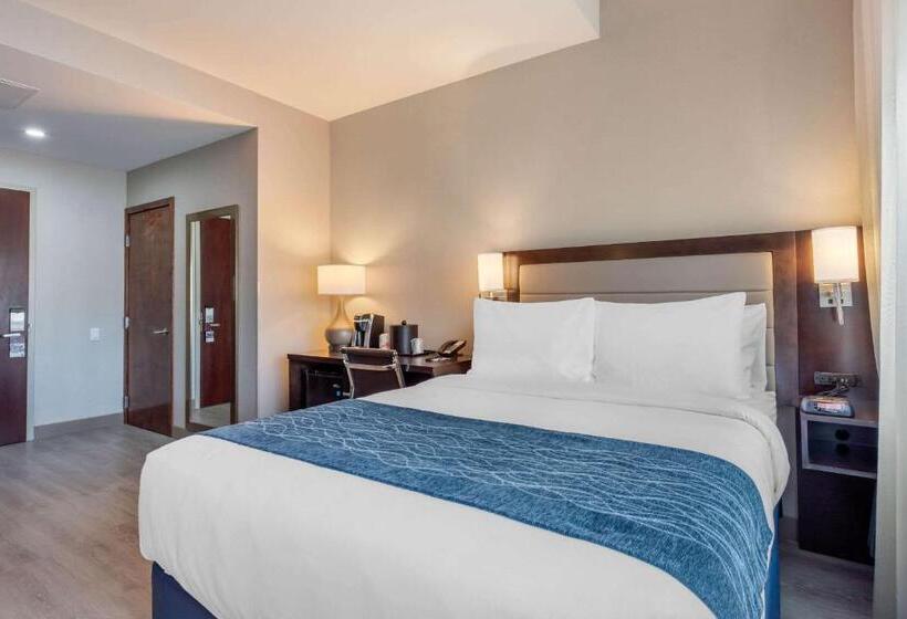 חדר סטנדרט מותאם לאדם עם מוגבלויות, Comfort Inn Prospect Parkbrooklyn
