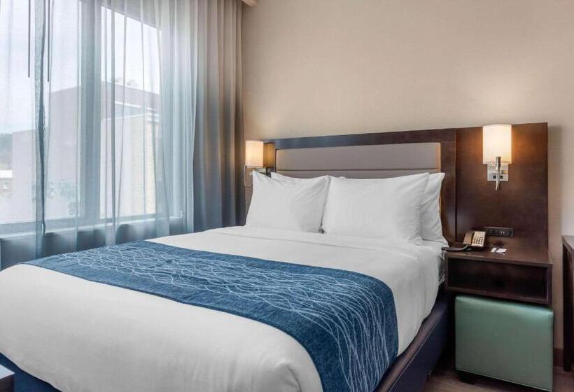 Номер Стандарт Адаптированный для Инвалидов, Comfort Inn Prospect Parkbrooklyn
