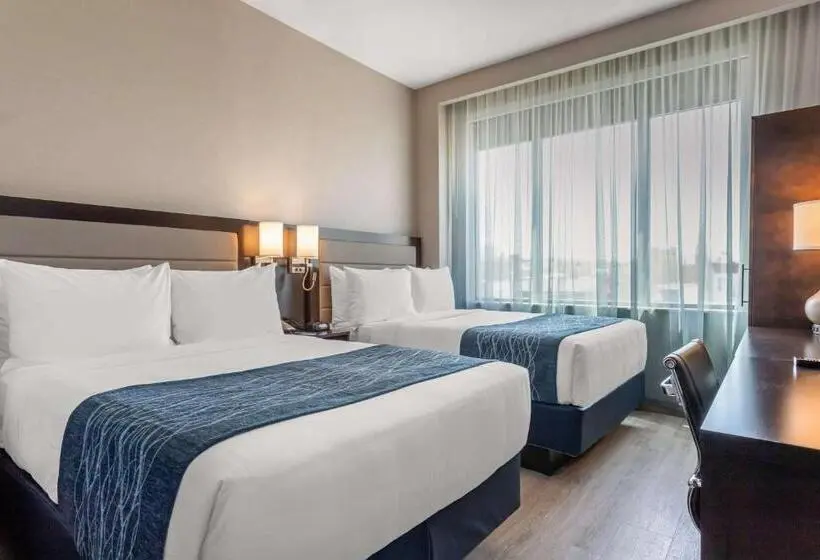 اتاق سوپریور, Comfort Inn Prospect Parkbrooklyn