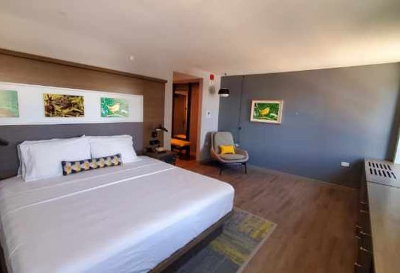 Номер Стандарт, Indigo Chattanooga Downtown, An Ihg