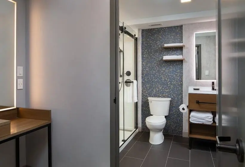 身障者適用スイートルーム, Indigo Chattanooga   Downtown, An Ihg