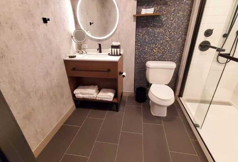 适合残疾人士使用的套间, Indigo Chattanooga   Downtown, An Ihg