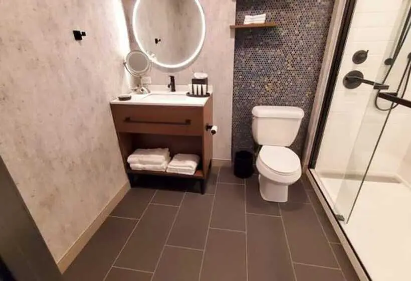 身障者適用スイートルーム, Indigo Chattanooga   Downtown, An Ihg