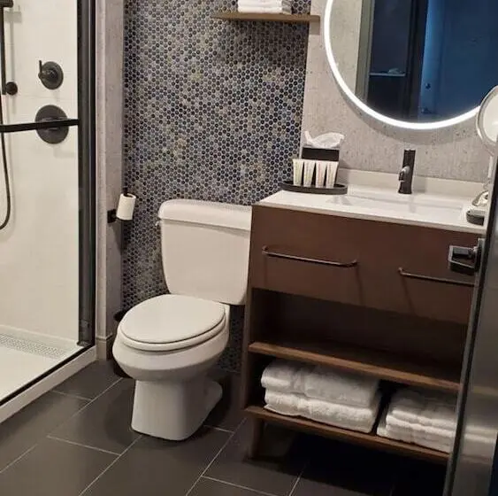 身障者適用スイートルーム, Indigo Chattanooga   Downtown, An Ihg