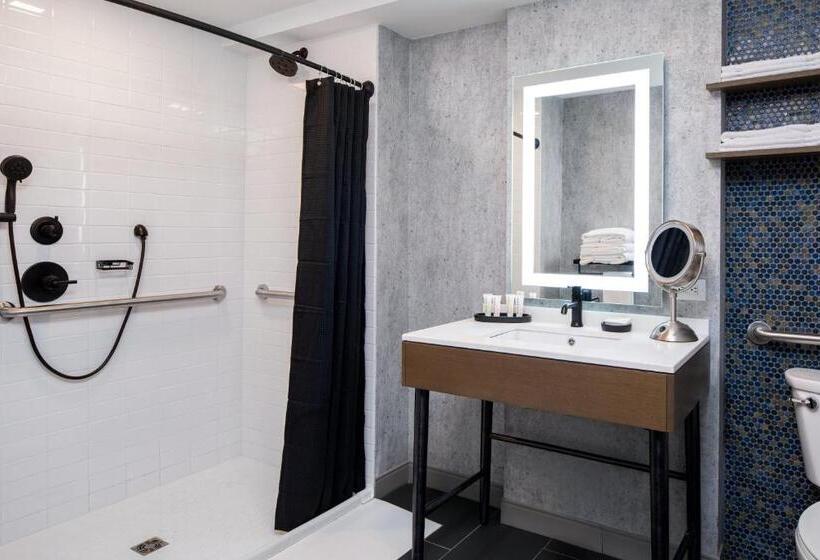 适用于残疾人士的豪华房间, Indigo Chattanooga   Downtown, An Ihg