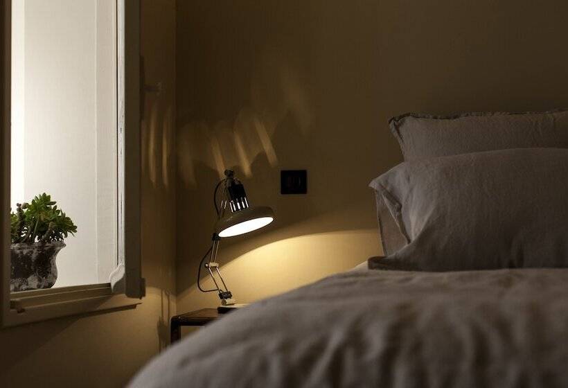 スタンダードルーム, Maison Volver